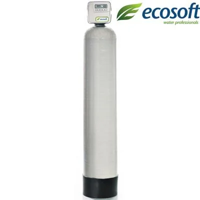 Фільтр для видалення сірководню ECOSOFT FPP 1252 CT