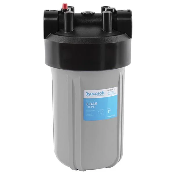 Фільтр магістральний Ecosoft Big Blue 10 Ø 1" (для холодної води)