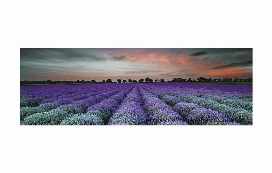 Декор Lavender Field Glass Inserto 250x750x9 Konskie