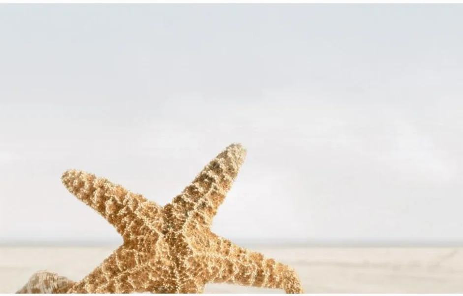 Декор Summer Stone Holiday №3 250x400x8 Golden Tile
