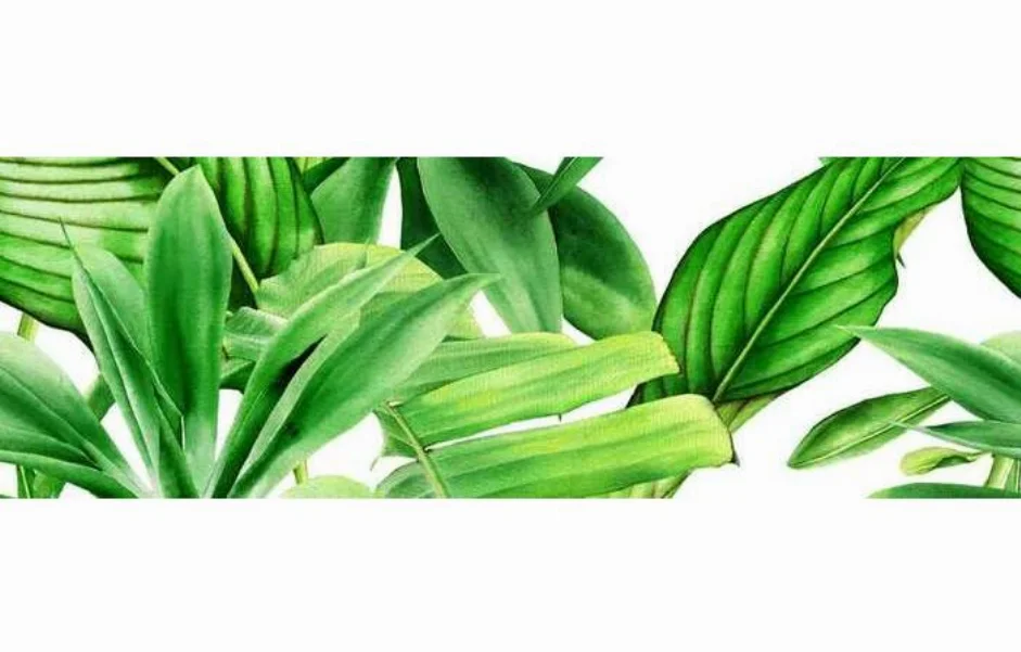 Декор Tropic Garden A 250x750x9 Ceramika Color